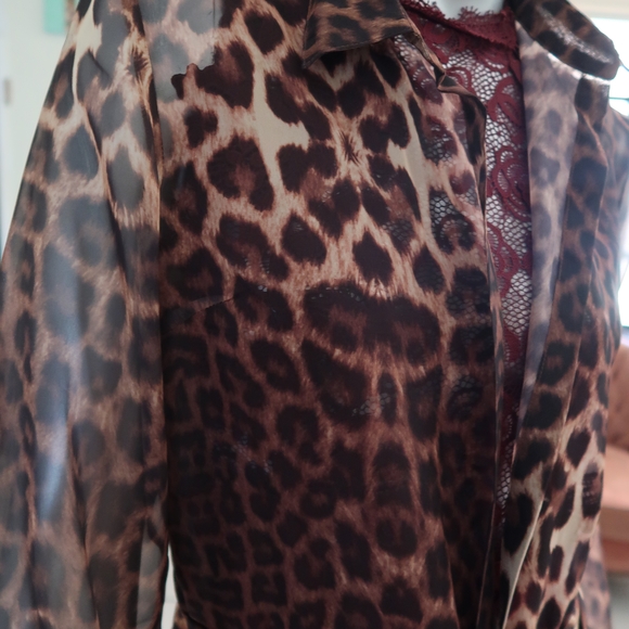 Leopard Print Sheer Robe - Picture 2 of 5